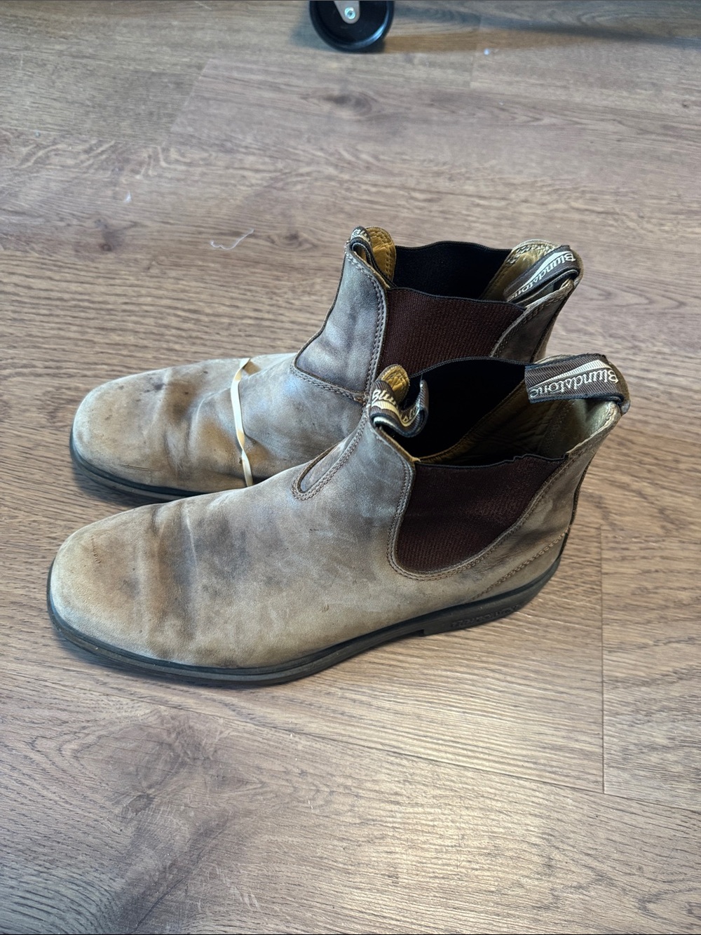 blundstone